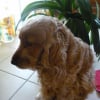 Photo de Urkia