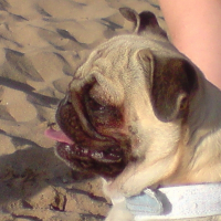Photo de profil de Zoé