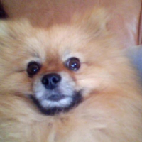 Photo de profil de Mj