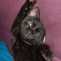 Photo de profil de Etoile