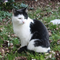 Photo de profil de Tartine