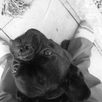 Photo de profil de Léon