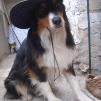 Photo de profil de Biouty