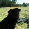 Photo de Cachou