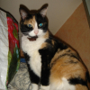 Photo de Zora