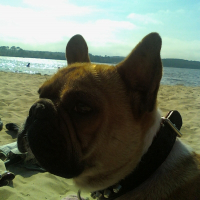 Photo de profil de Simon