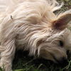 Photo de Juddy