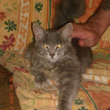 Photo de Figaro