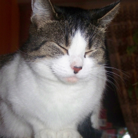 Photo de profil de Amende