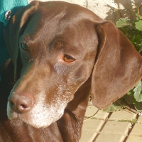 Photo de profil de Rocxane