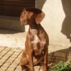 Photo de Bonnie