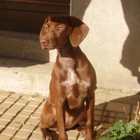 Photo de profil de Bonnie