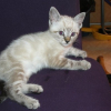 Photo de Etoile