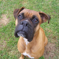 Photo de profil de Tifène