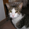 Photo de Pepito