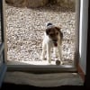 Photo de Kyska