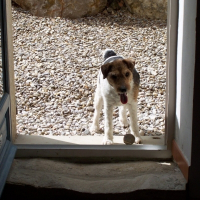 Photo de profil de Kyska