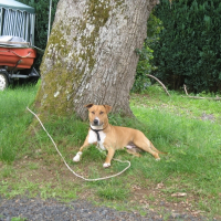 Photo de profil de Balthazar