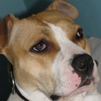 Photo de profil de Babylone