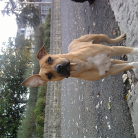 Photo de profil de Djana