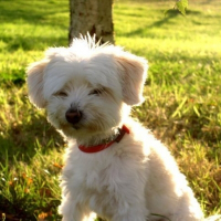 Photo de profil de Joyce