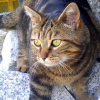 Photo de Praline