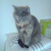 Photo de Pixel