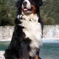 Photo de profil de Teddy