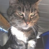 Photo de Cachou