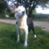 Photo de Chenza