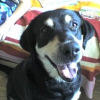 Photo de profil de Bacuss