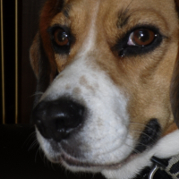 Photo de profil de Usua