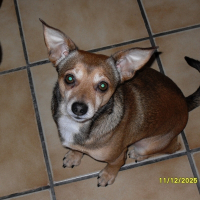 Photo de profil de Snoopy