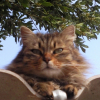 Photo de Anya