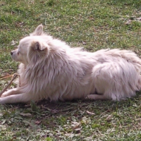 Photo de profil de Maya