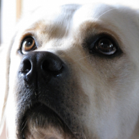 Photo de profil de Bessie