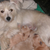 Photo de Candy