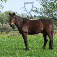 Photo de profil de Heurt des planaris