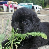 Photo de profil de Wally
