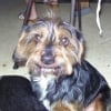 Photo de Bingo