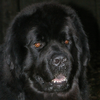 Photo de profil de Twister