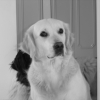 Photo de Sally