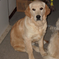 Photo de profil de Duchesse