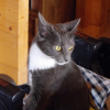 Photo de Danette
