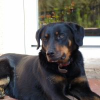 Photo de profil de Lola