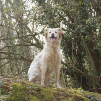 Photo de profil de Rita