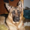 Photo de Demon