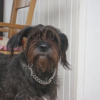 Photo de profil de Sally