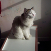 Photo de Virgule