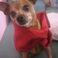 Photo de profil de Ruby